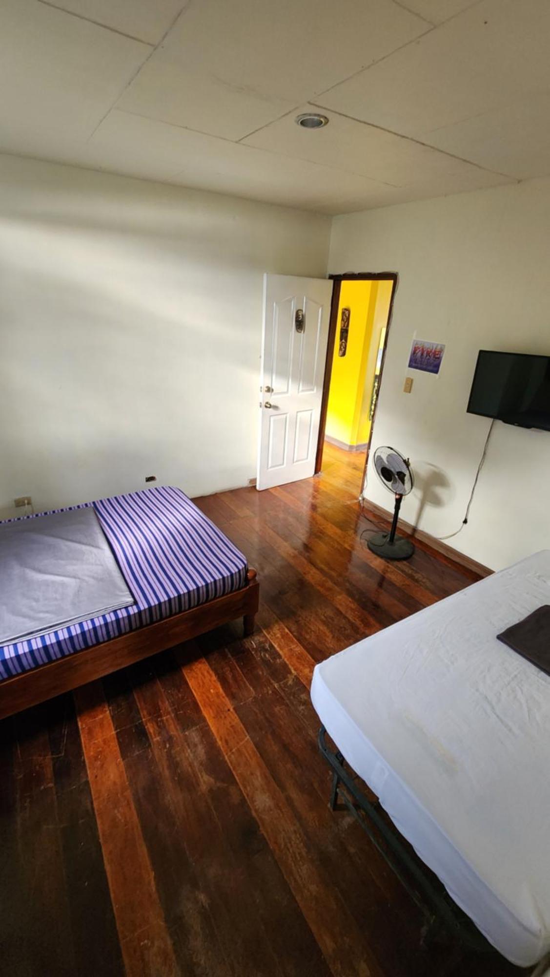 Screaming Gecko Hostel Busuanga Bagian luar foto